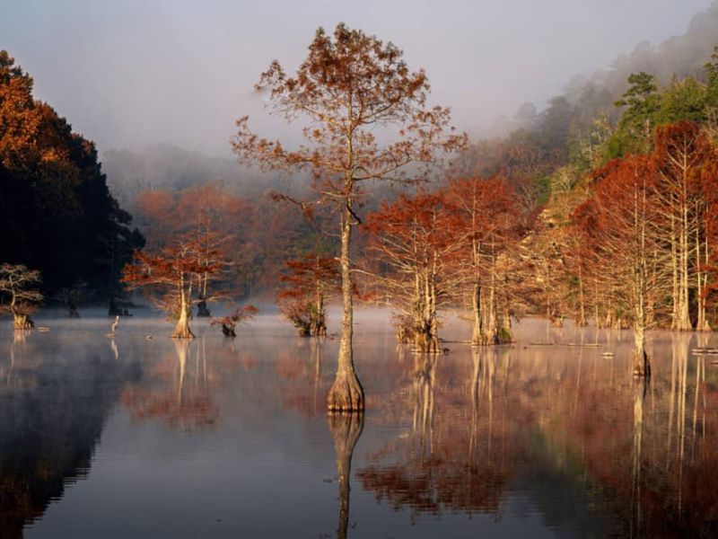 wp-content/uploads/2025/04/tc-blog-demo-4.jpg